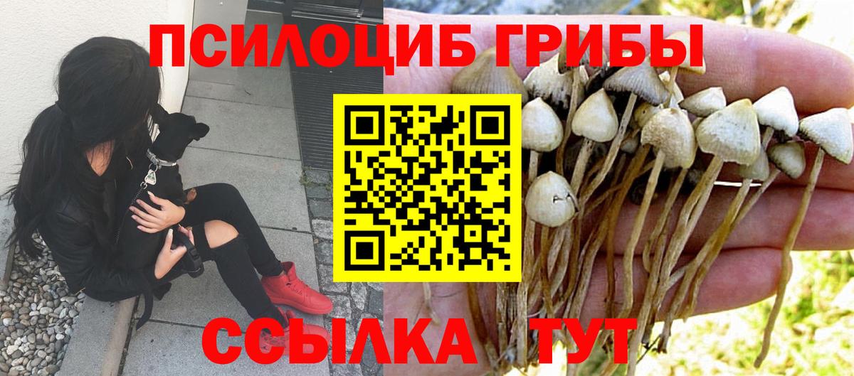 Острогожск  Псилоцибиновые грибы Psilocybe  купить наркоту  Вход с VPN 